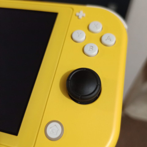 Switch Lite Analog Stick